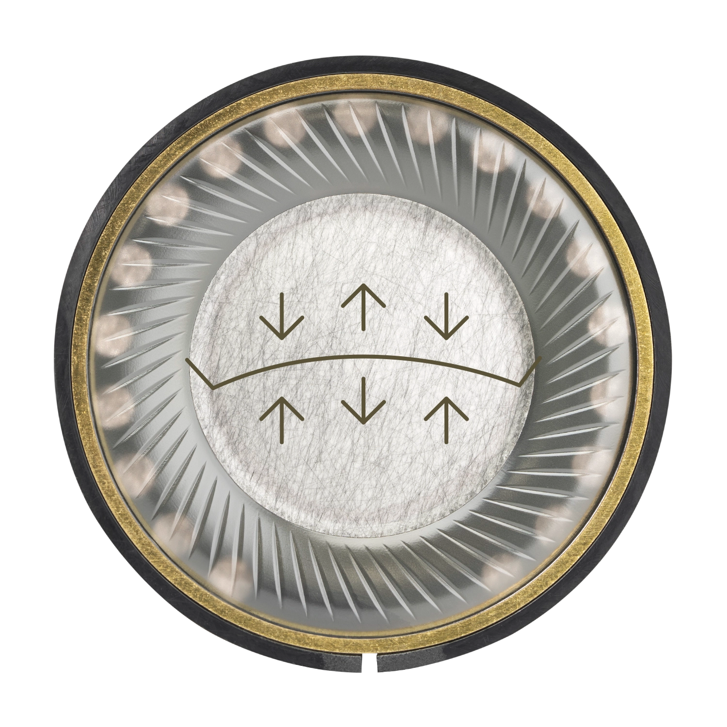Meze Audio 105 AER diaphragm design